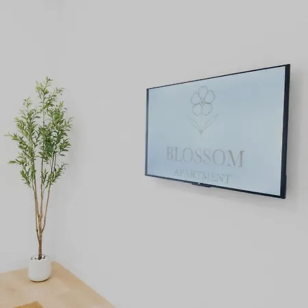 Blossom * Bari